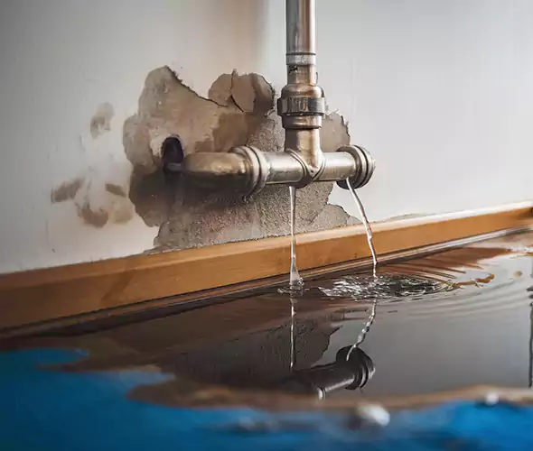 Professional Water Damage Restoration Experts in Daly City, CA — Fast, Reliable & Certified