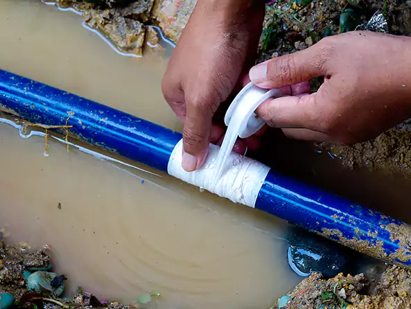  Why Choose Daly City Plumbing Pro for Leak Detection in Daly City, CA?]